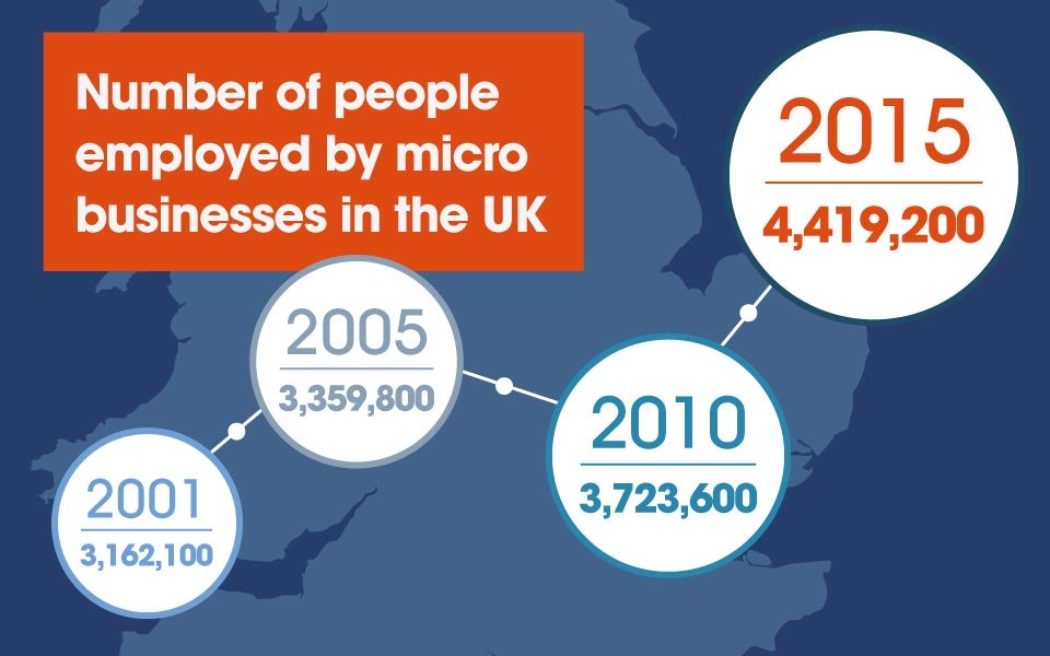 microbusinesses infographic